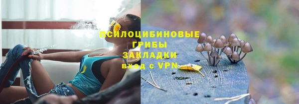 стафф Верея