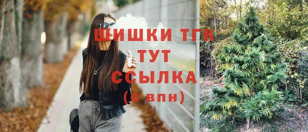 ПСИЛОЦИБИНОВЫЕ ГРИБЫ Волосово