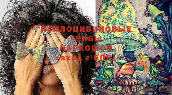 стафф Верея
